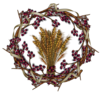 Burgundywreath Copy Image